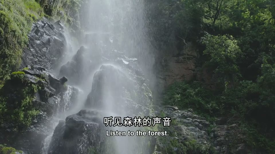 Original video detail at 1.00 seconds